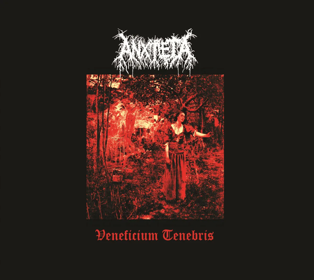 Veneficium Tenebris cover