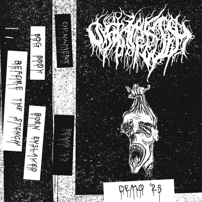 Demo '25 cover