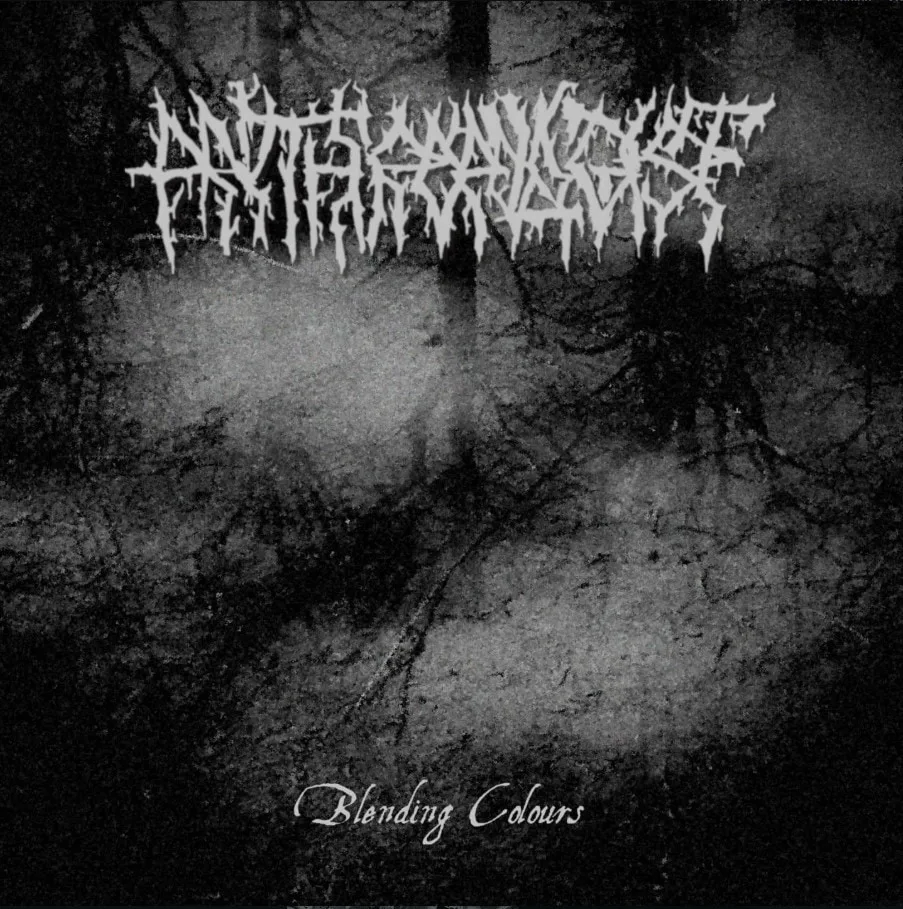 Blending Colours cover