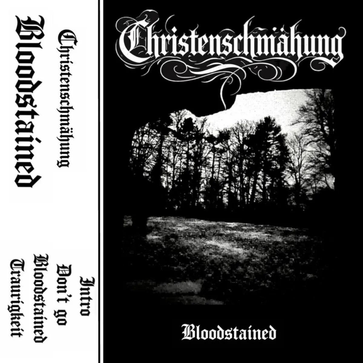 Bloodstained cover