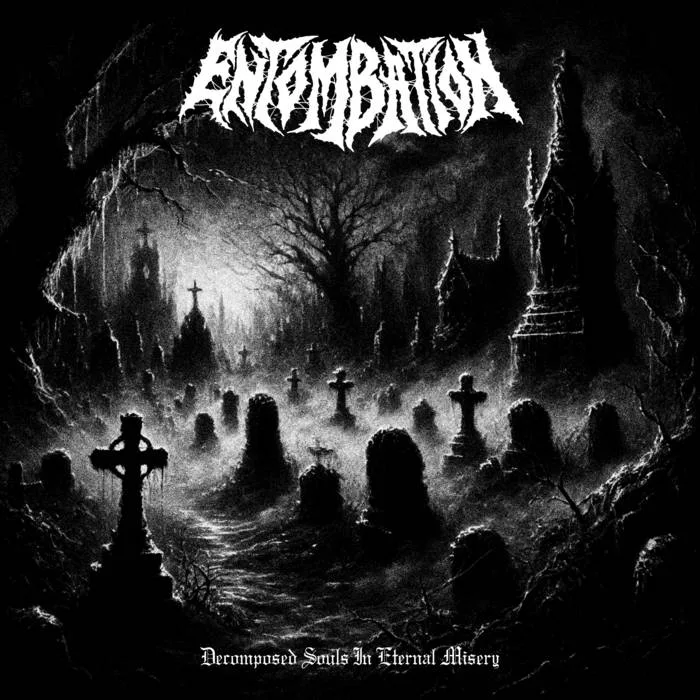 Decomposed Souls in Eternal Misery cover