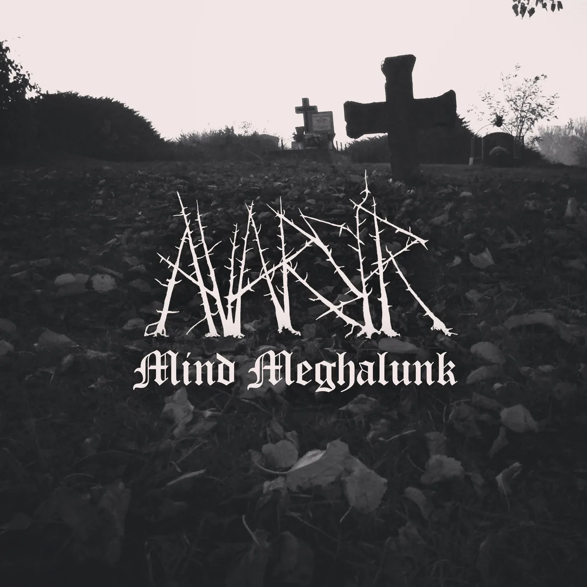 Mind Meghalunk cover