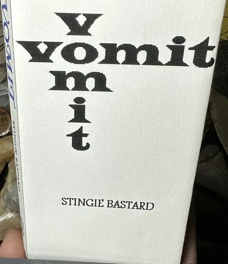Stingie Bastard cover