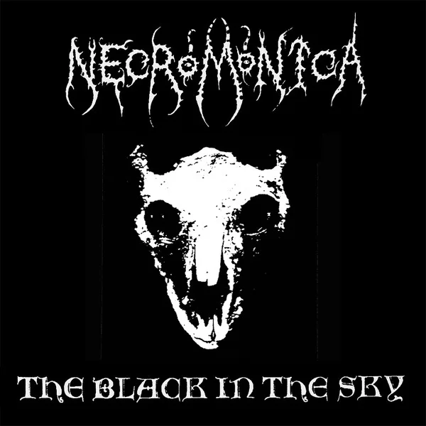 Black in the Sky cover