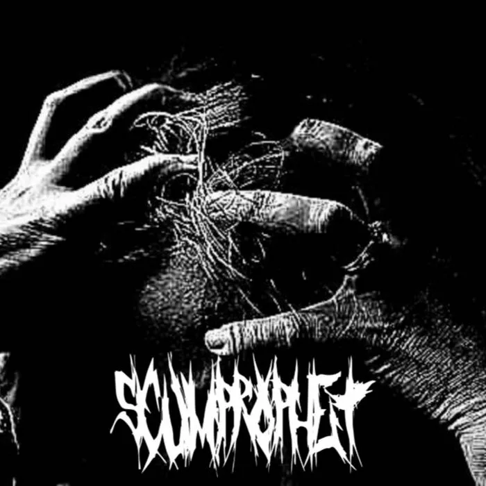 Wasted Skin cover
