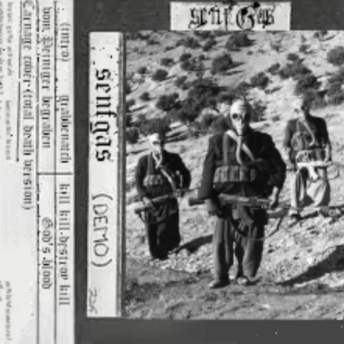 SenfGas Demo cover