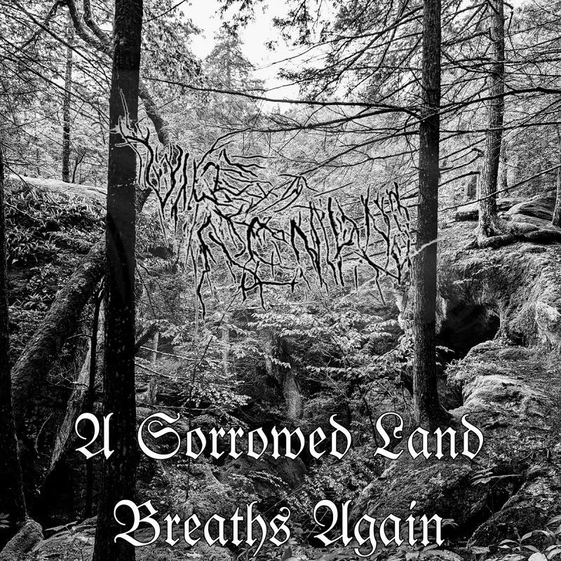 A Sorrowed Land Breaths Again cover
