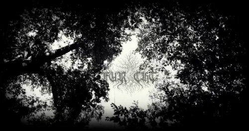 Der Jahreszeiten Trauerwiege cover