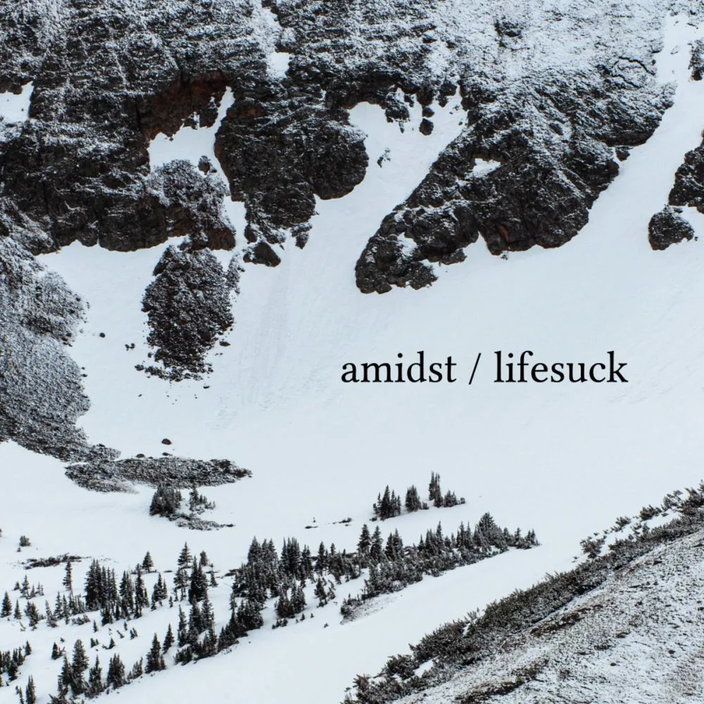 Amidst / Lifesuck cover