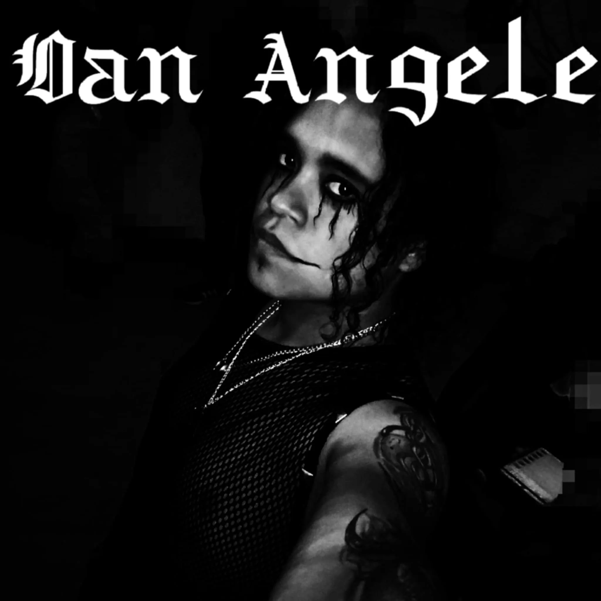 Fall into Darkness cover