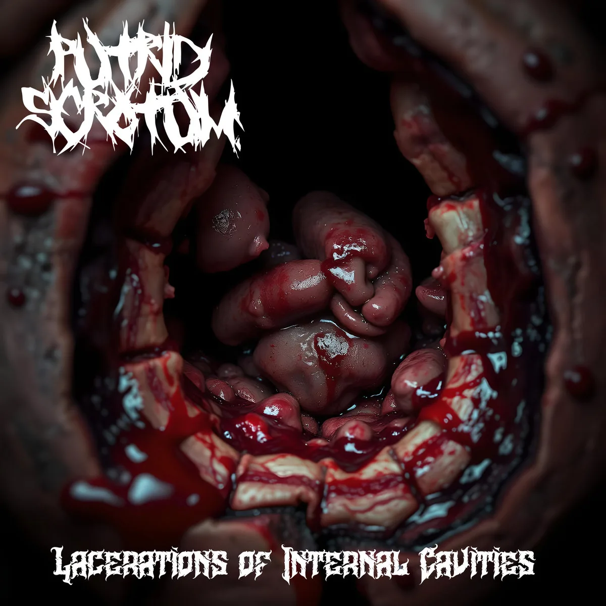 Lacerations of Internal Cavities (Kill That Ogre Mix) cover