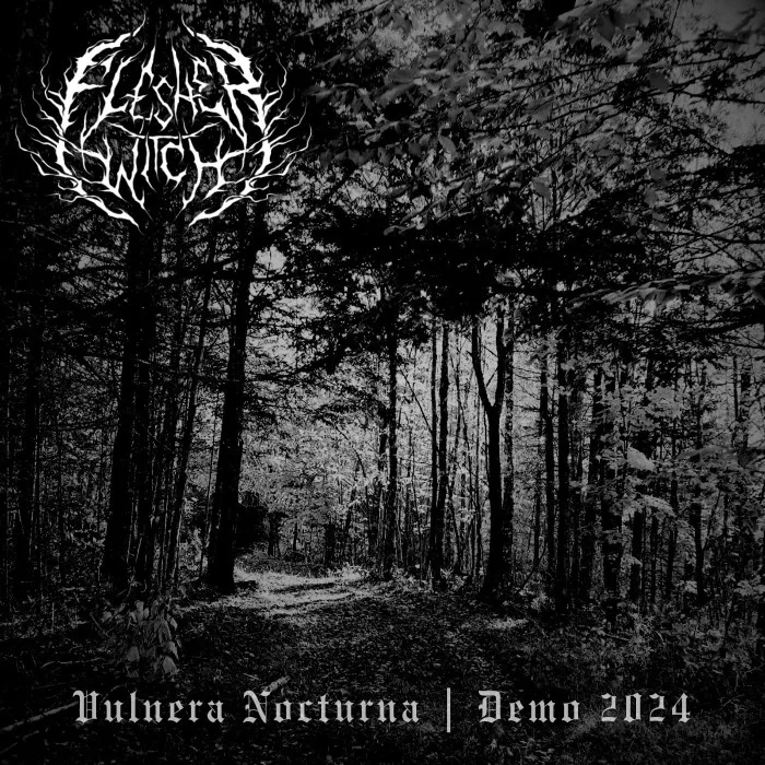 Vulnera Nocturna cover