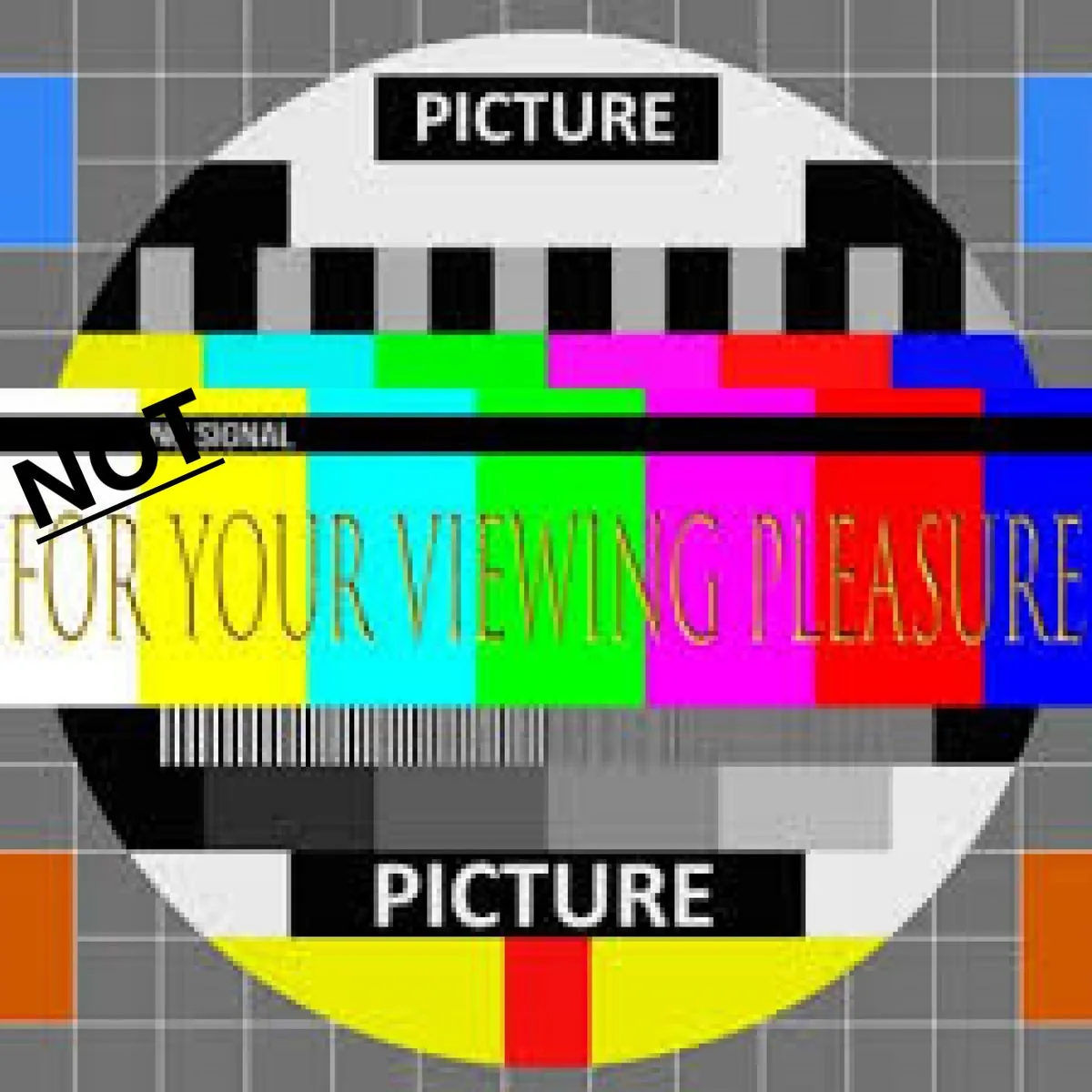 I'm Not for Your Viewing Pleasure cover