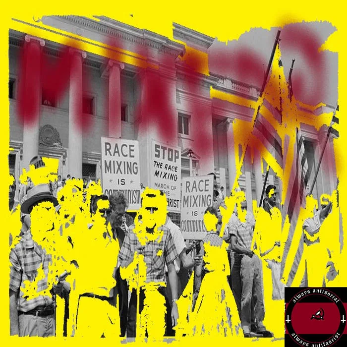 Mixed Race Are Our Future! cover
