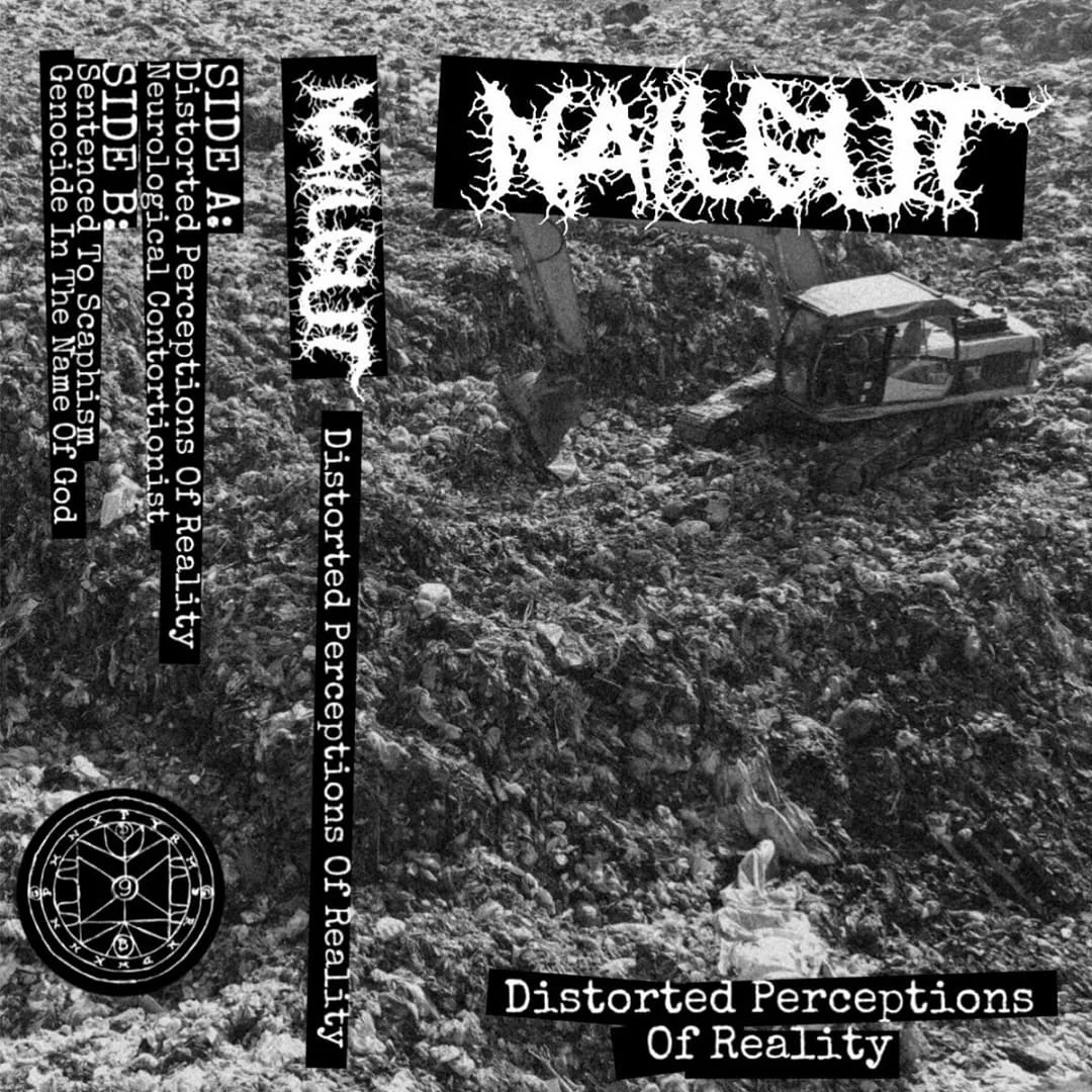 Distorted Perceptions of Reality cover