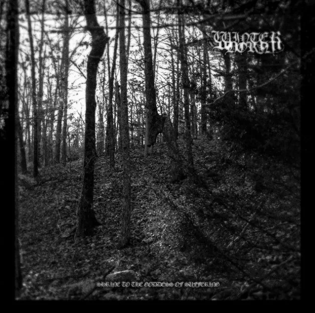 Shrine to the Goddess of Suffering cover