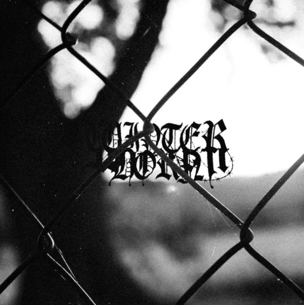 Self-Inflicted Turmoil cover