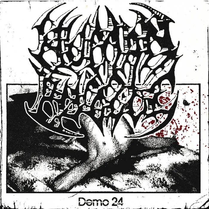 Demo 24 cover