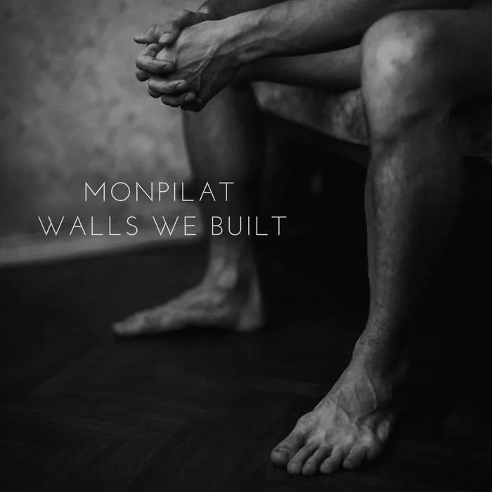 Walls We Built cover