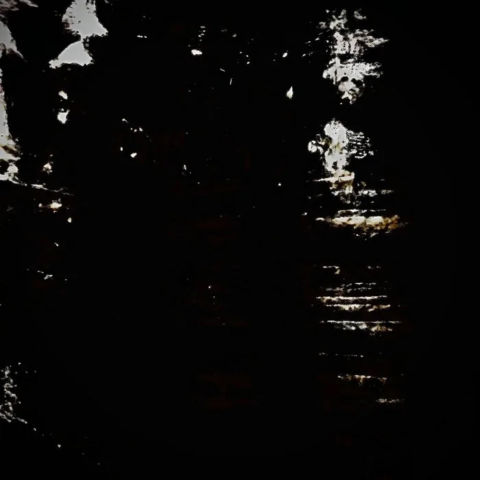 Festering Visual Perception cover