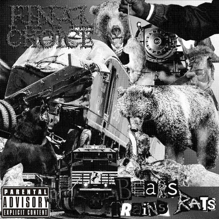 Bears, Trains, Rats cover