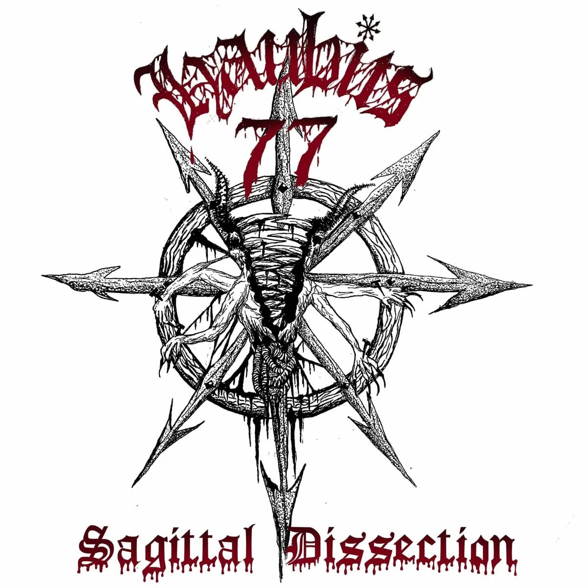 Sagital Disection cover