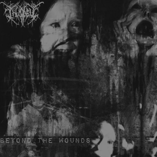 Beyond the Wounds cover
