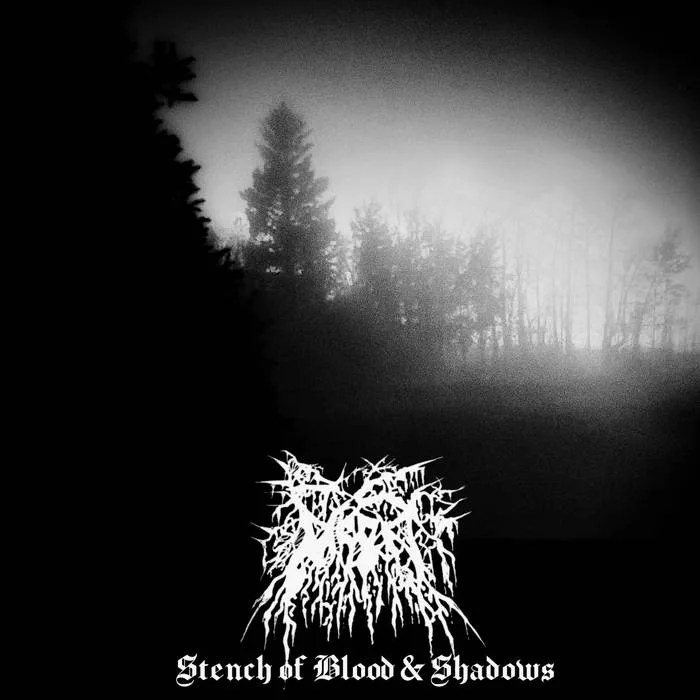 Stench of Blood and Shadows cover