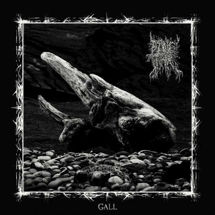 Gall cover