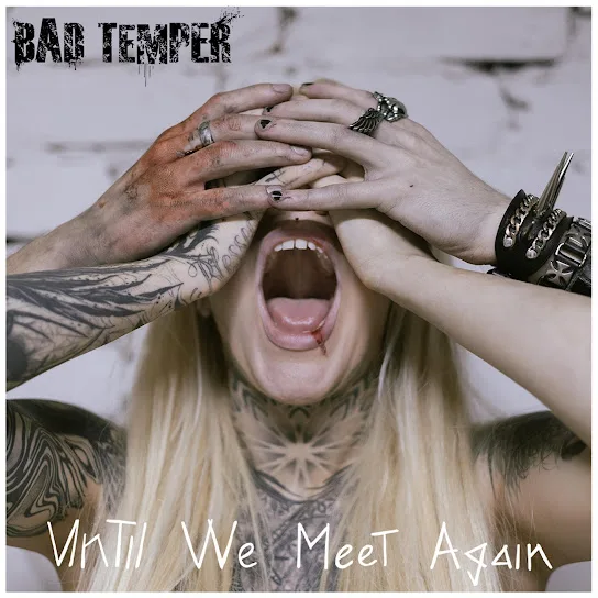 Until We Meet Again cover