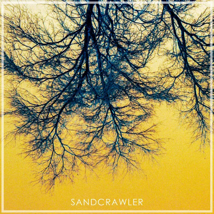 Amongst the Rats cover