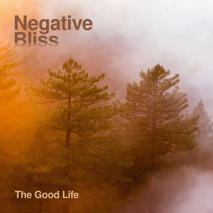 The Good Life cover