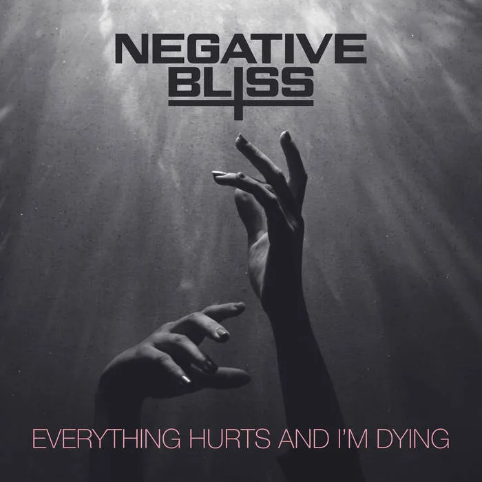 Everything Hurts and I'm Dying cover