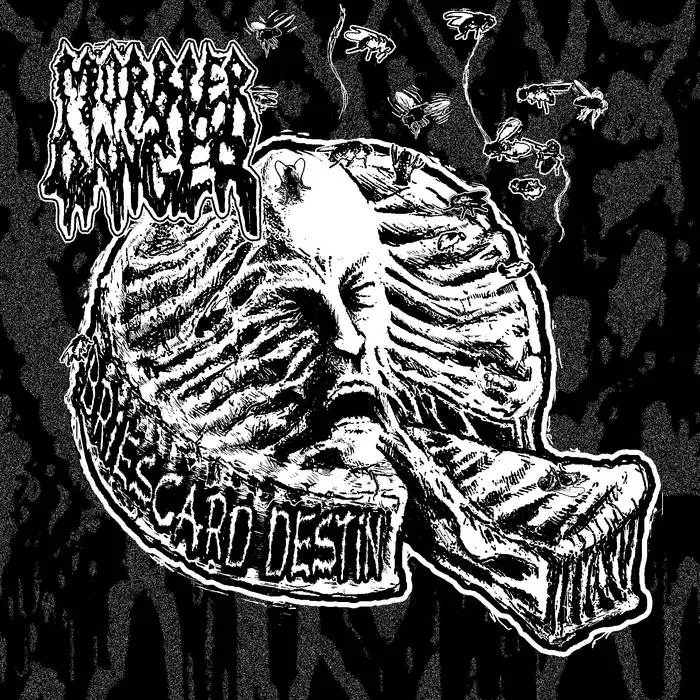Briescard Destin cover