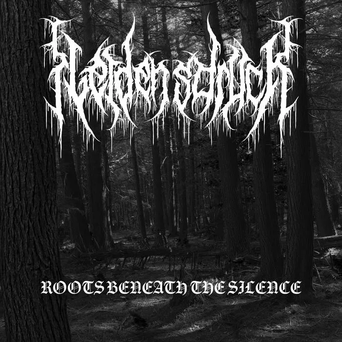 Roots Beneath the Silence cover