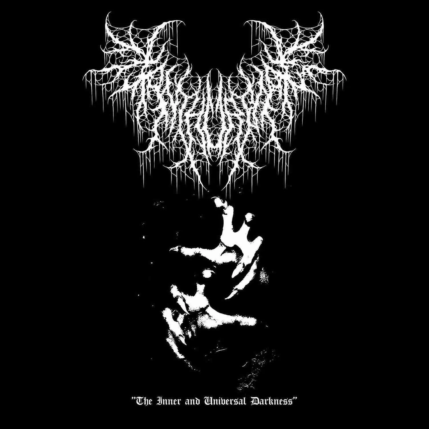 The Inner and Universal Darkness cover