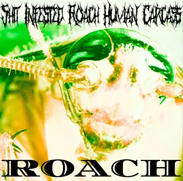 Roach cover