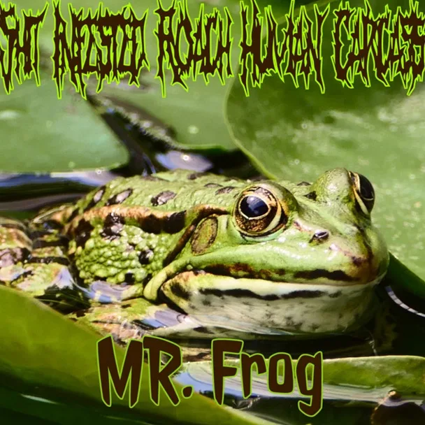Mr. Frog cover
