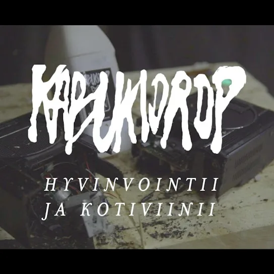 Hyvinvointii ja kotiviinii cover