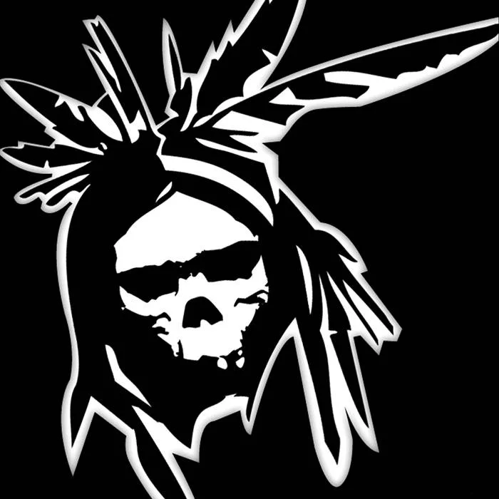 Ruta de la Araucan​í​a cover