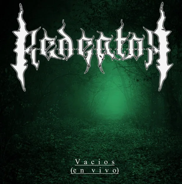 Vacíos (en vivo) cover