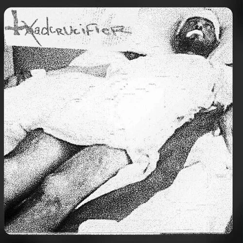 Learning to Live with Rabies (Live) cover