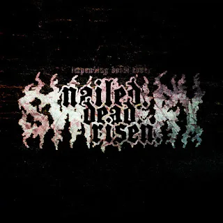Nailed. Dead. Risen. cover