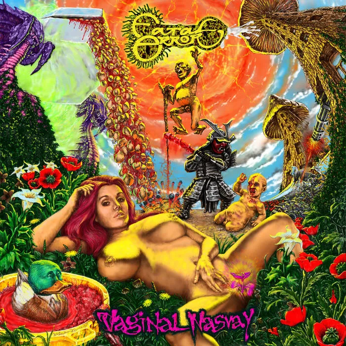 Vaginal Nasvay cover