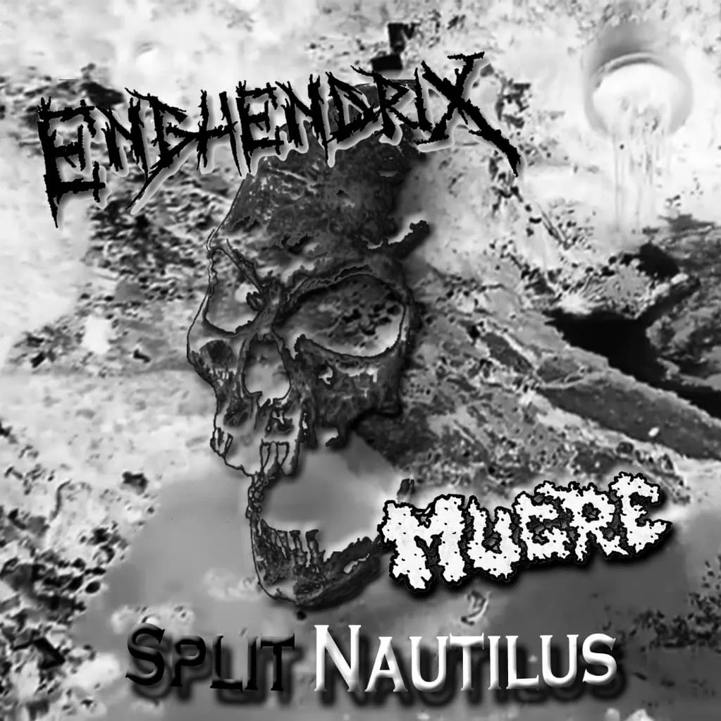Split Nautilus cover