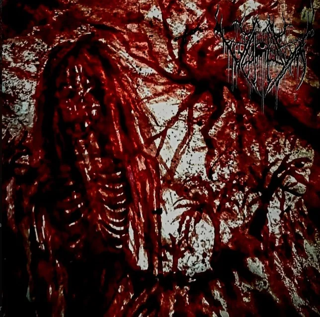 Echoes of the Dead cover