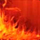 Risen from Black cover