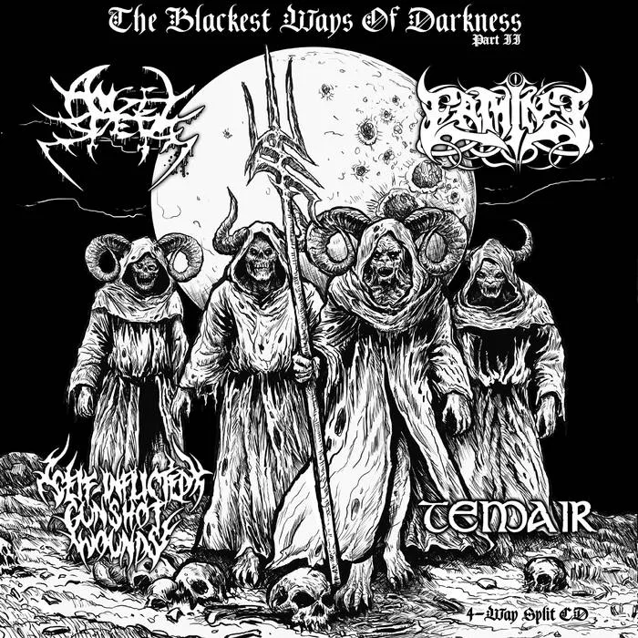 The Blackest Ways of Darkness II cover