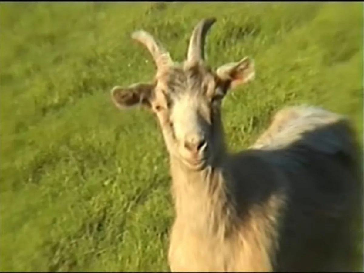 DarthKillMeister cover