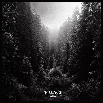 Solace cover